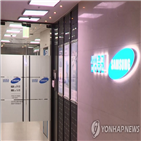 발행,규제,비율,레버리지