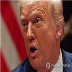 트럼프,대통령,선거,방식,주장