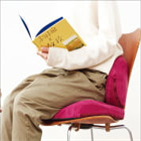 엑스젤,한국메사