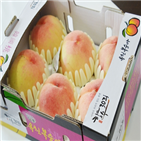 당도,타이벡,복숭아