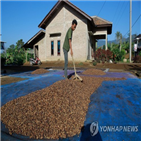 선물,가격,커피,설탕,최근