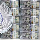 디지털,화폐,연준,중국,이사