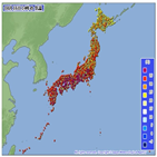 일본,기온,관측,폭염,확진