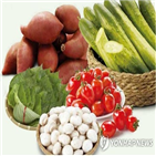 농식품,구매,소비,증가,구매액,농산물,코로나19,건강