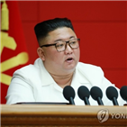 대회,전원회의,계획,위원장,당대회,대해,북한