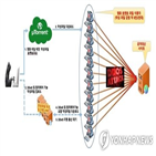 도스,공격,지연,카카오뱅크,피해