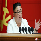 북한,위임통치,통합,권력,지적