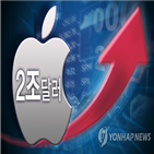 주식,분할,주가,주식분할,테슬라,종목