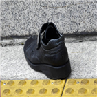 청와대,현장,경호