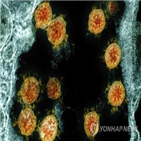 재감염,코로나19,감염,사례,남성,코로나바이러스