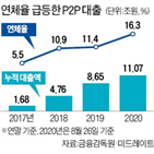 업체,차입자,대출,연체율,금융당국