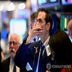 기술주,대형,주식시장,하락,비중