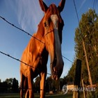 프랑스,범행,경찰,현장