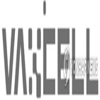 항암,면역치료제,이오