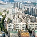 투자,투자액,부동산,감소