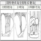 안마의자,사고,영유아,소비자원,제품