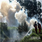 산불,피해,인도네시아,올해,건기,연기,지역,발생