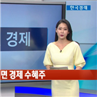 씨티,대면,경제,애플,로지텍,수혜,부문