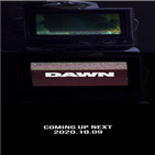 피네,컴백,음악