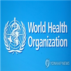 여성,직원,국제기구,조사,학대