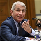 백악관,코로나19,파우치,미국,소장