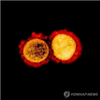 생존,표면,코로나19,기간