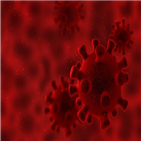 코로나19,대학,학생,혈장,행위