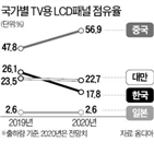 업체,중국,가격,패널,한국,올해