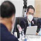 손실,사업,암바토비,자원외교