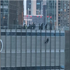 경찰,남성,시카고,트럼프,외벽