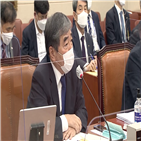 금감원,직원,감사