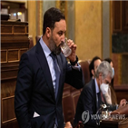 정부,불신임안,복스,스페인,하원,의석,성향