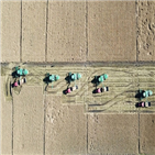 중국,햅쌀,홍수,지역