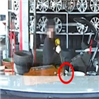 훼손,타이어뱅크,경찰