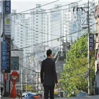 결혼,포기,부동산,정부,청원인,정책