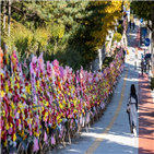 화환,김남국,시민,의원