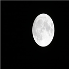 블루문,보름달,핼러윈