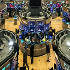 미국,대선,지수,하락,실적,중심,급락