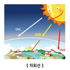 자외선,니코틴아마이드,피부암,연구팀