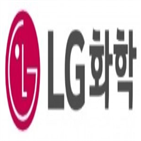 LG화학,검사