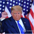 트럼프,대통령,비판,승리,개표