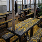 코로나19,확진,베를린,독일,검사