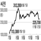 씨젠,코로나19,진단키트,전망