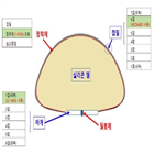 식약처,원료,인공유방,한스바이오메드,이식환자,제품,예정