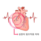 좌심실,심부전,혈액,심장,엠파클리플로진,치료,그룹