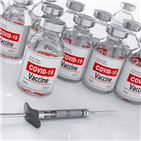 백신,생산,회분