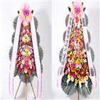 의원,경찰,현역