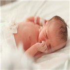 인공수정,뉴질랜드,여성,클리닉