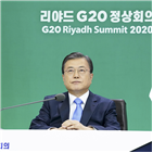 대통령,정상회의