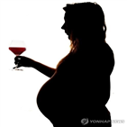 임신,사망률,출산,여성,태아